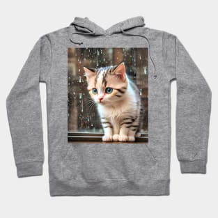 Cute Kittens Beautiful Cats Hoodie